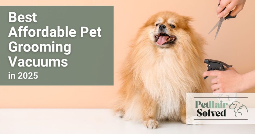 A pomeranian dog being groomed set as the feature image behind the words best affordable pet grooming vacuums