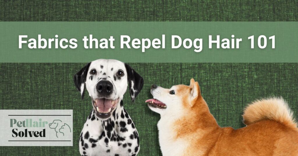 Featured image for post about fabrics that repel dog hair, with a dalmation and shiba inu