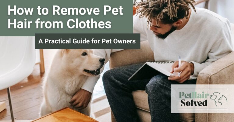 Featured image for How to remove pet hair from clothes blog post